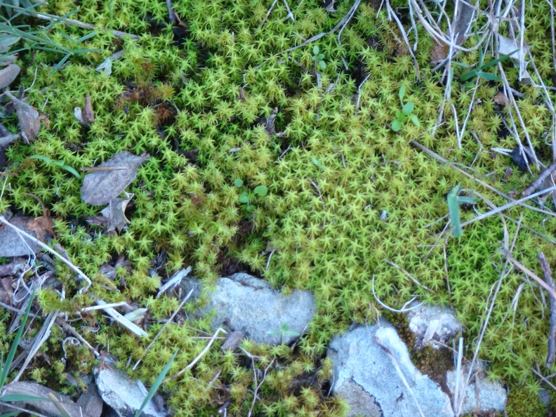 DSC01868.JPG
