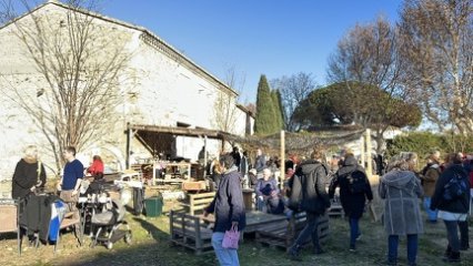 IMG 2263
