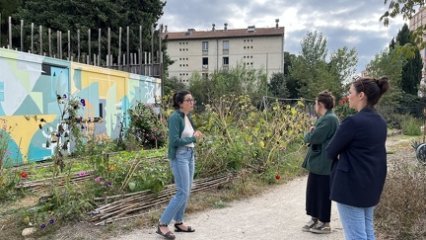 IMG 1485