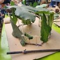 journée de l'architecture 2023 