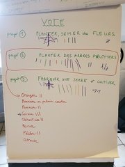 séance brainstorming et vote 