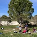 IMG 2554