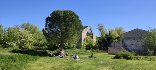 IMG 20240421 113125