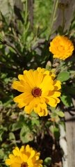 IMG 20240421 113033