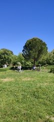 IMG 20240421 113013