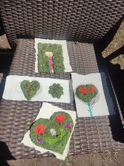 IMG 20240526 144536