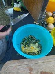 IMG 20240617 211147
