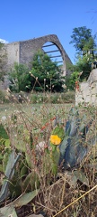 IMG 20240704 180116