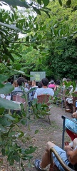 IMG 20240704 205235