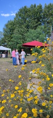 IMG 20240704 181859