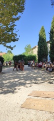 IMG 20240821 104352