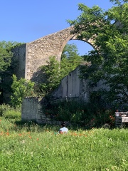 FTLV-17 Mai 2024 - ARLES-credit Renaudin Maïlis (11)