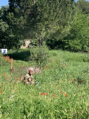 FTLV-17 Mai 2024 - ARLES-credit Renaudin Maïlis (14)