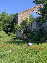 FTLV-17 Mai 2024 - ARLES-credit Renaudin Maïlis (15)