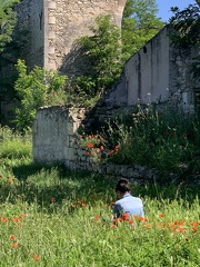 FTLV-17 Mai 2024 - ARLES-credit Renaudin Maïlis (16)