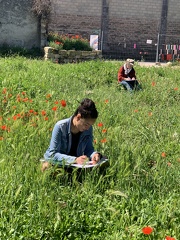 FTLV-17 Mai 2024 - ARLES-credit Renaudin Maïlis (18)