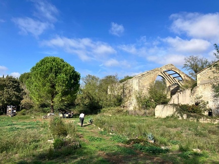 461516028 1280451042942641 6779722896088477334 n