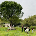 IMG 4394