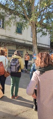 IMG 20241115 090531