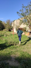 IMG 20241117 144128