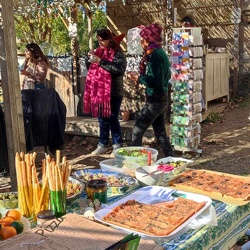 Repas sauvage_2024-11-28