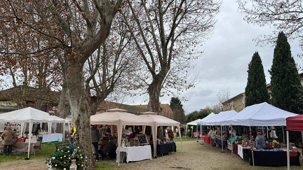 462581806 3845121162473098 5883342607448438094 n