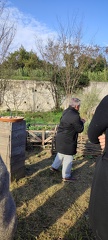 IMG 20241210 111533
