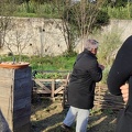 IMG 20241210 111533