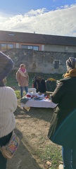 IMG 20241210 110730