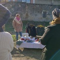 IMG 20241210 110730