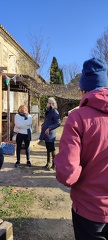 IMG 20241210 111024