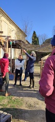 IMG 20241210 111026