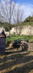 IMG 20241210 111453