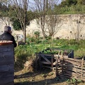 IMG 20241210 111453
