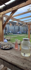 IMG 20241210 104218
