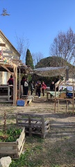 IMG 20241210 104759