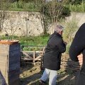 IMG 20241210 111533