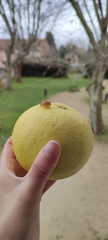 IMG 20250223 131535