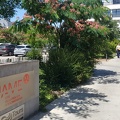 Photos2