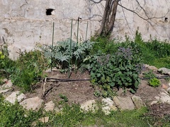 IMG-20250303-WA0007