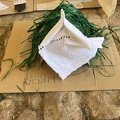 IMG 3334