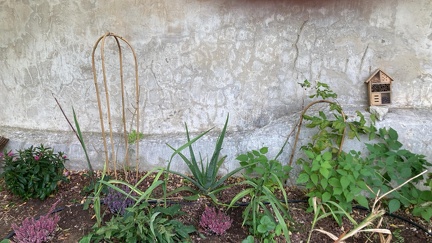 WhatsApp Image 2025-10-19 à 15.57.37 08cfc699