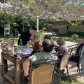 IMG 6271