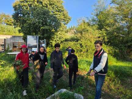 WhatsApp Image 2026-01-22 at 17.02.11 (1)