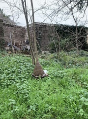 IMG 0559
