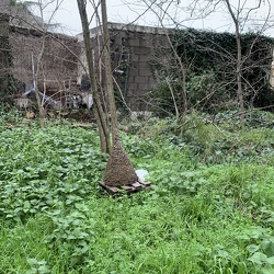 2026-01-25_rdv des jardins