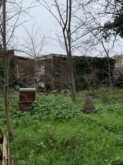 IMG 0553