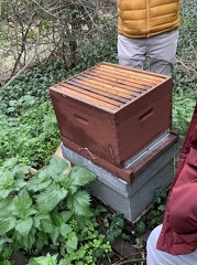 IMG 0569