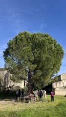 IMG 6823