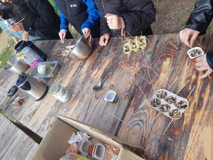 17